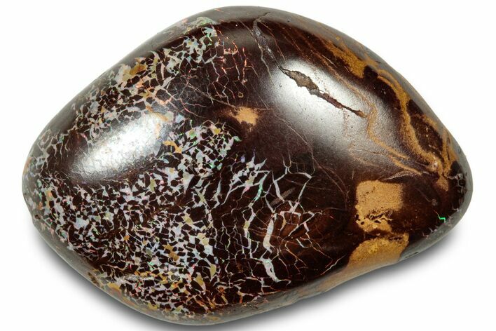 Colorful Polished Boulder Opal Specimen - Queensland, Australia #314802